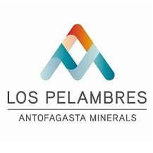 Minera Los Pelambres